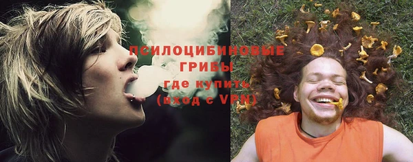 прущая мука Аркадак